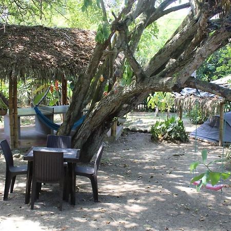 Las Cabanas De La Iguana Ayampe Luaran gambar