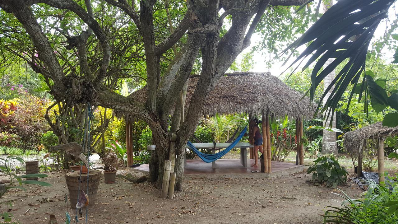 Las Cabanas De La Iguana Ayampe Luaran gambar